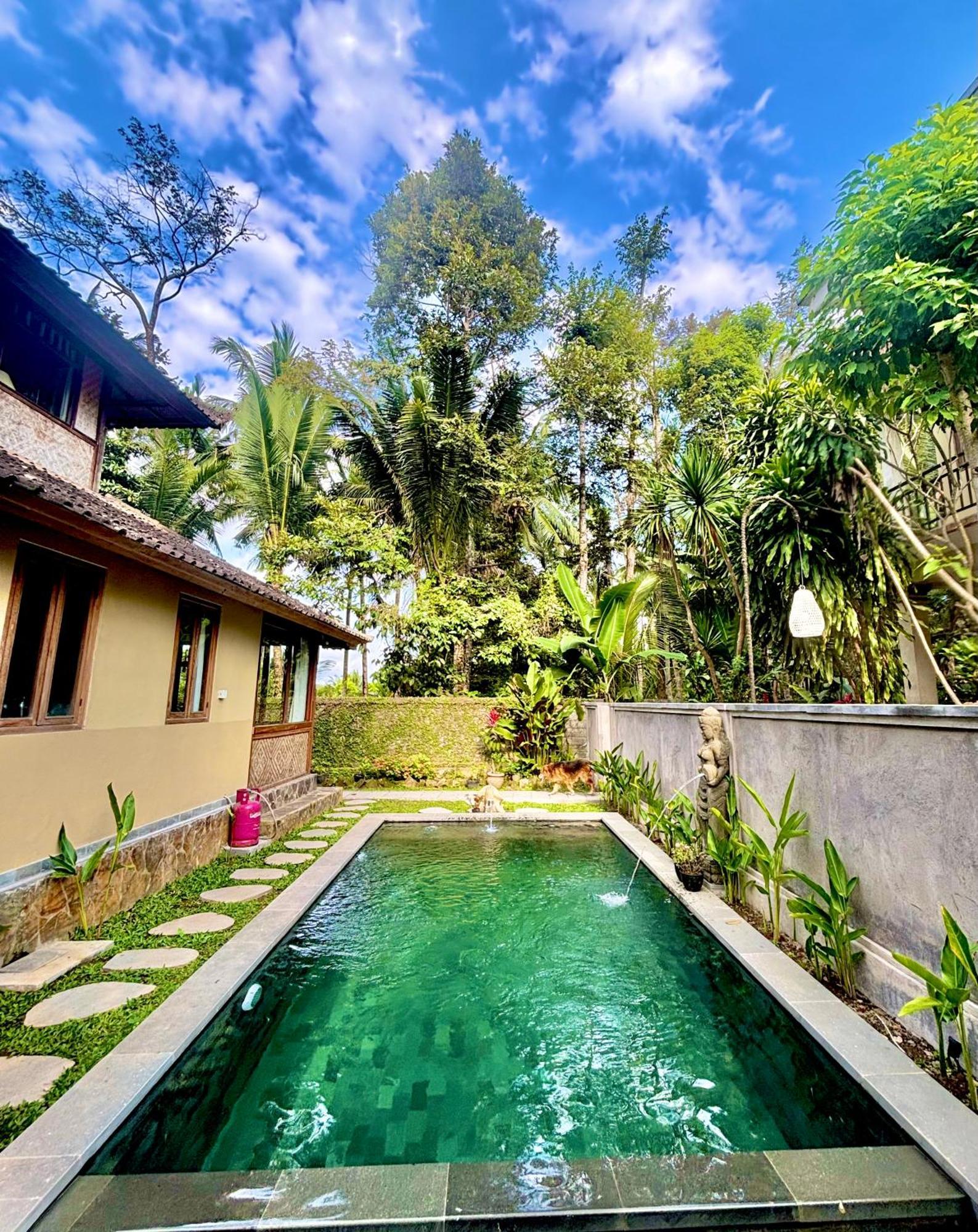 Balinese Homestay Ubud Zewnętrze zdjęcie